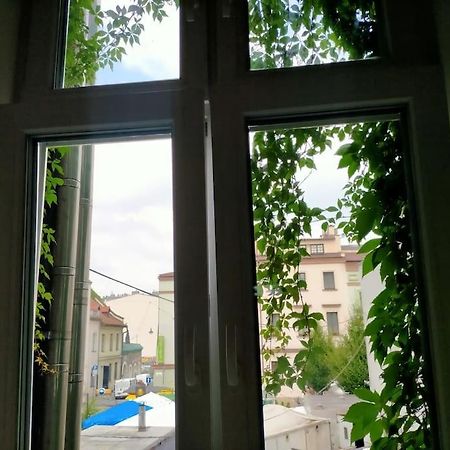 كراكوفيا Bright Josefa Apartments For Two المظهر الخارجي الصورة